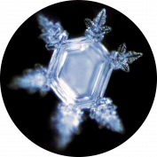 Aqua-Energy - Folies