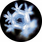 Aqua-Energy - Folies